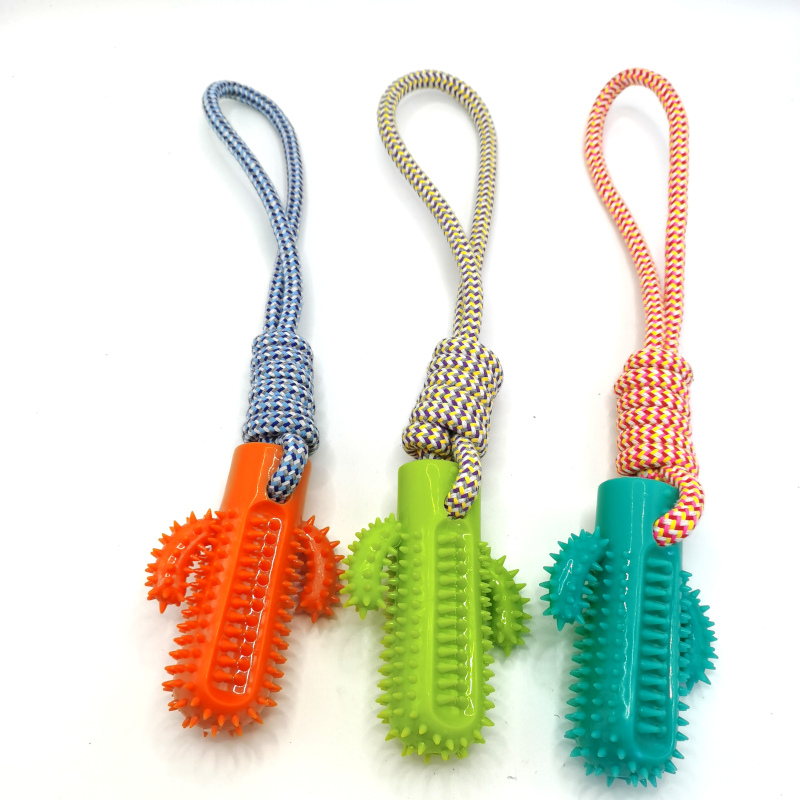 Cactus Plastic Rope Dog Chew Teeth Cleaning Toy