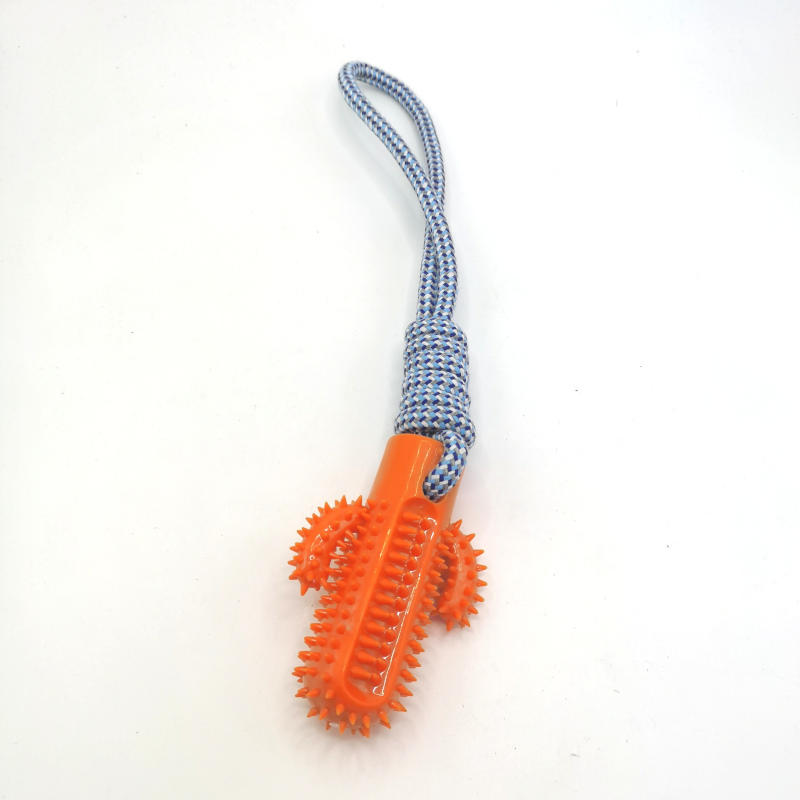 Cactus Plastic Rope Dog Chew Teeth Cleaning Toy